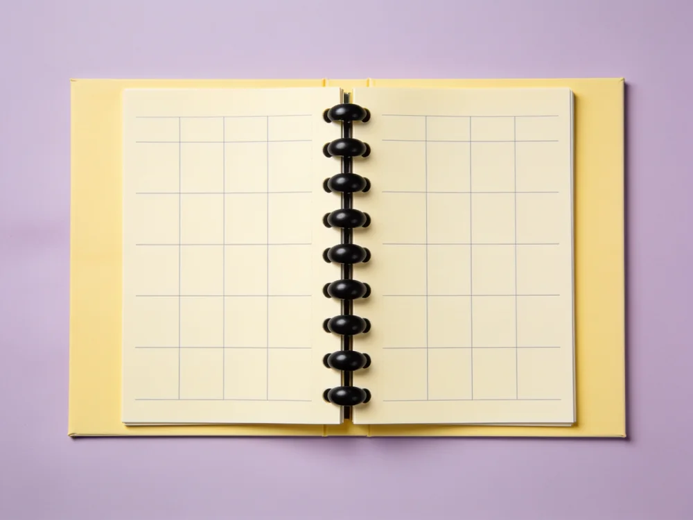 Disc-bound project planner — Paper pages; removable plastic discs; polypropylene cover